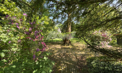 parkähnlicher Garten (freist. Häuser, Norden-Süderneuland I)